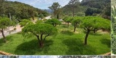 수목장 정원