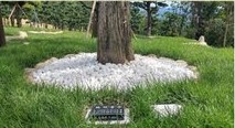 개별 수목장 표석
